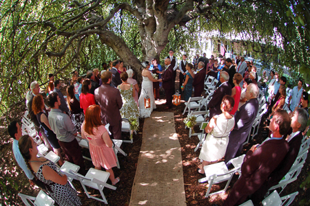 Wedding Under the Beech Tree, A.J. Sullivan Photography